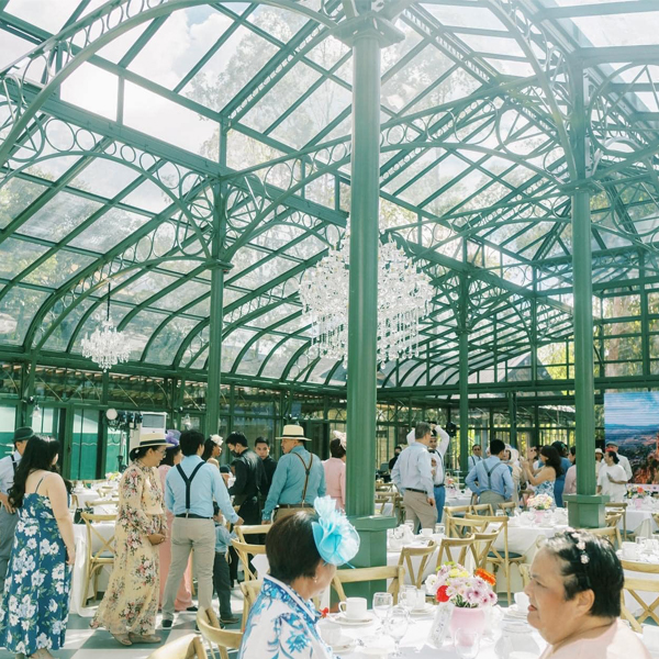 yongsheng victorian style iron glass greenhouse Steel and glass greenhouse for sale